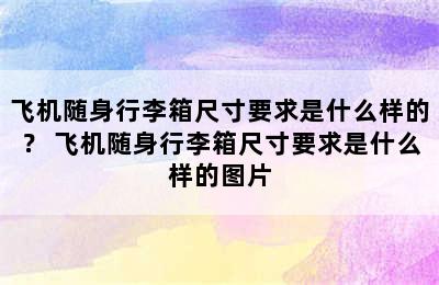 飞机随身行李箱尺寸要求是什么样的？ 飞机随身行李箱尺寸要求是什么样的图片